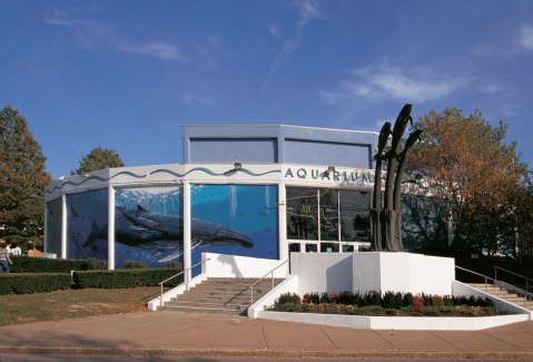 The Aquarium Of Niagara Is Worthy Of A Little Day Trip From Buffalo With Your Family