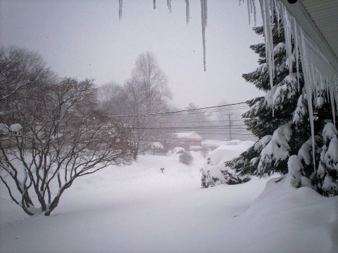 The Worst Blizzard In New Jersey Happened 5 Years Ago