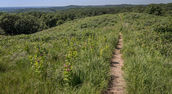 This Little-Known Hill In Minnesota Rises High Above The Landscape For Amazing Views In Every Direction