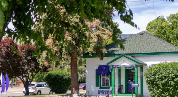 The Purple Avocado, One Of Nevada’s Most Charming Shops, Is Located In A 1860s Historical Home
