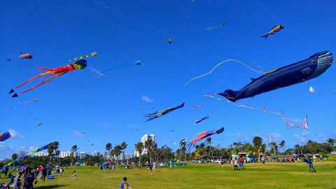 Bring The Whole Family To The South's Most Colorful Festival During Kite Days Festival In Florida