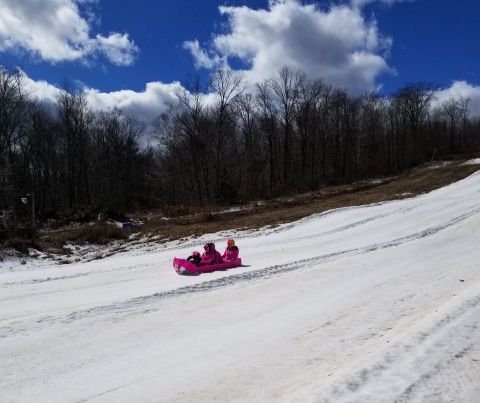 Build Your Own Sled For Powder Ridge Park’s Cardboard Box Sled Race In Connecticut This Winter