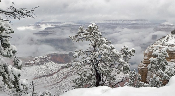 9 Hiking Trails In Arizona Perfect For A Winter’s Day