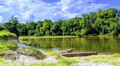 Bogue Chitto State Park Near New Orleans Is A Natural Oasis Waiting For You To Explore