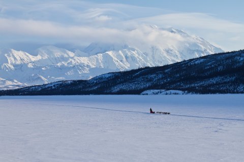 The Best Things To Do In Alaska's 8 National Parks This Winter