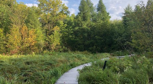 7 Cool And Calming Hikes To Take In Minnesota To Help You Reflect On The Year Ahead