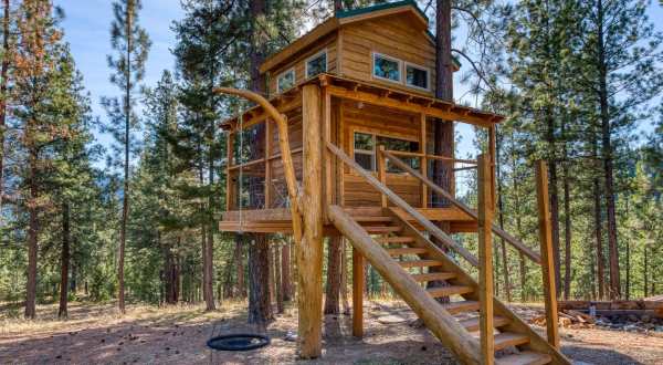 Sleep Among Ponderosa Pines At The Cozy Backcountry Treehouse In Montana