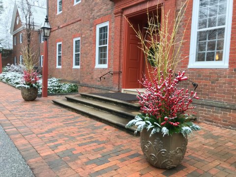 Find Gardening Inspiration Even In The Dead Of Winter At Delaware's Gorgeous Mt. Cuba Center
