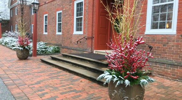 Find Gardening Inspiration Even In The Dead Of Winter At Delaware’s Gorgeous Mt. Cuba Center
