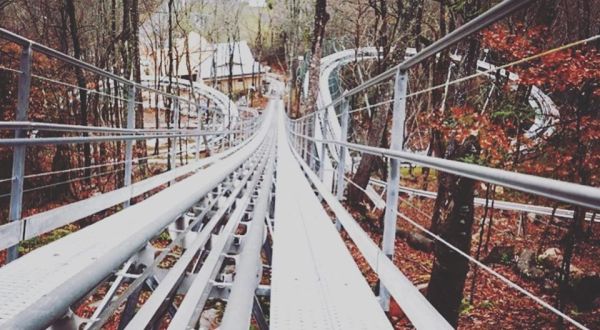 Next Month, North Carolina Is Getting Its First Ever Alpine Coaster, Wilderness Run Alpine Coaster