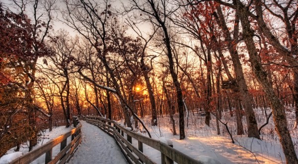 7 Illinois Attractions That Will Cure Your Cabin Fever During Harsh Winter Months