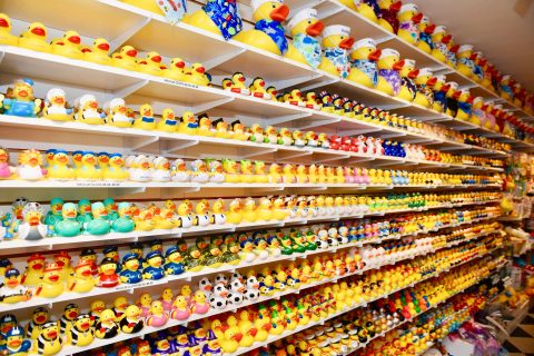 The World's Largest Rubber Duck Store, Ducks in the Window, Offers Quirky Gifts In Massachusetts