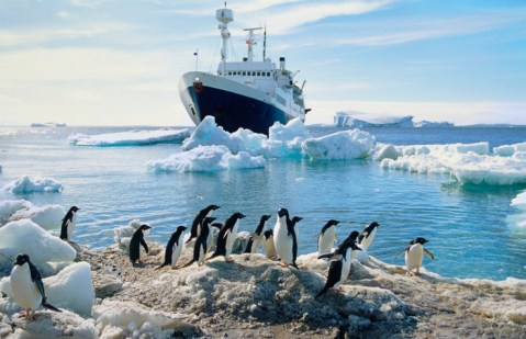 Experts Say That Luxury Travelers Will Flock To Antarctica During 2020