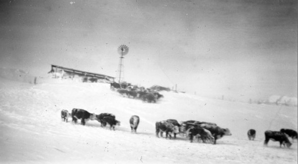 Over 70 Years Ago, Nebraska Was Hit With The Worst Blizzard In Its History