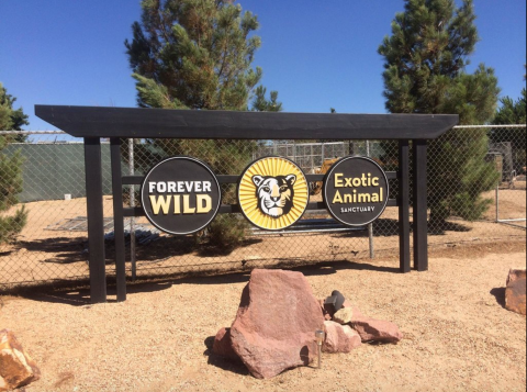 Not Many Know About Forever Wild, An Exotic Animal Sanctuary Right Here In Southern California