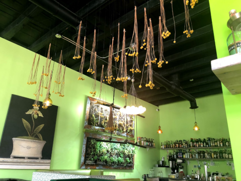 Chartreuse Kitchen & Cocktails Is A Lush Eatery In Detroit Where You Can Sip Drinks Surrounded By Magical Plants