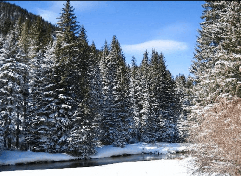 South Dakota’s Grand Canyon, Spearfish Canyon, Looks Even More Spectacular In the Winter