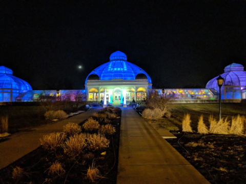 Illuminate Your Winter By Attending Buffalo's Annual Magical Lumagination Event At The Gardens