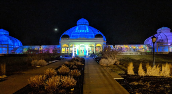 Illuminate Your Winter By Attending Buffalo’s Annual Magical Lumagination Event At The Gardens