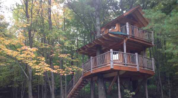 Sleep Among Towering Maple And Pine Trees At The Moose Meadow Tree House In Vermont