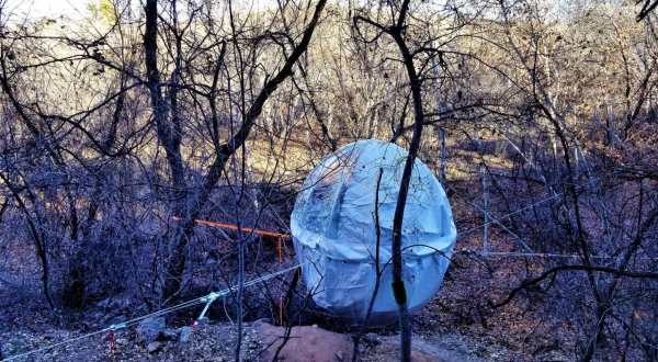 You Can Stay In A Cocoon Among The Trees Right Here In Arizona