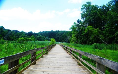 Explore Boardwalks, Bridges, And Water Views At Harford Glen Trail In Maryland