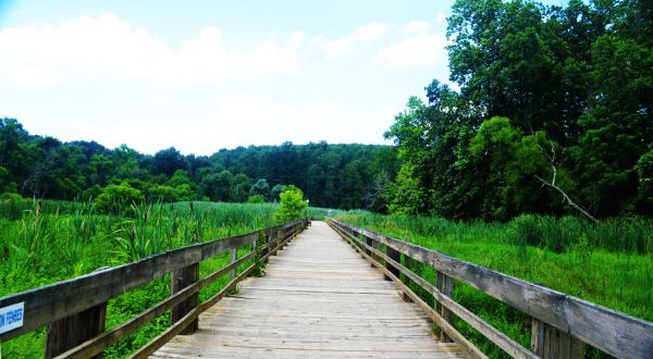 Explore Boardwalks, Bridges, And Water Views At Harford Glen Trail In Maryland