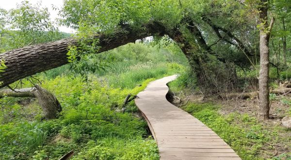 Take A Hike Through Lebanon Hills Regional Park In Minnesota To Get In Touch With Nature Without Leaving The City