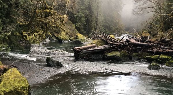 If You Only Have Time For One Hike In Washington This Year, Make It Staircase Rapids