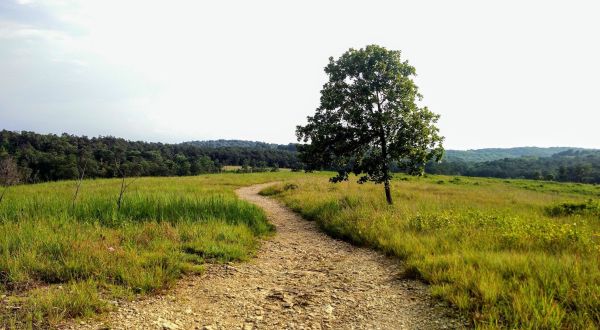 The Serene Views Seem Endless On Serpentine Trail, An Easy And Underrated Trek In Maryland