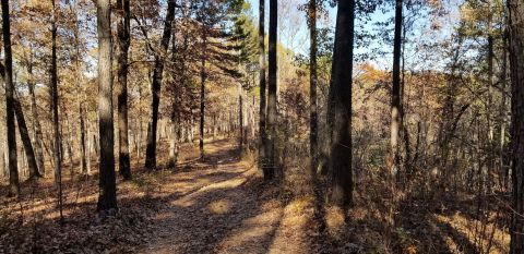 This Spring To Spring Trail In Arkansas Is A Quiet Paradise With Stunning Mountain Views