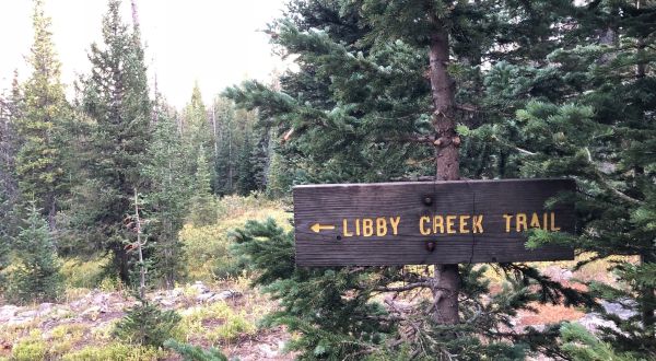 Find Solitude Along The Libby Creek Trail, One Of Wyoming’s Most Peaceful Hikes