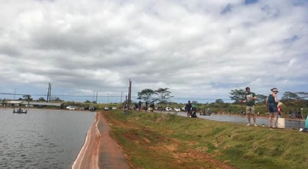 The Entire Family Will Enjoy Fishing From The Three Ponds Found At Ali’i Agricultural Farms In Hawaii