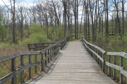 9 Magnificent Trails You Have To Hike In Metro Detroit Before You Die