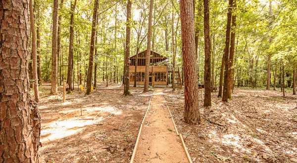 Sleep Among Towering Oaks And Pines At The Tree House In Tyler, Texas