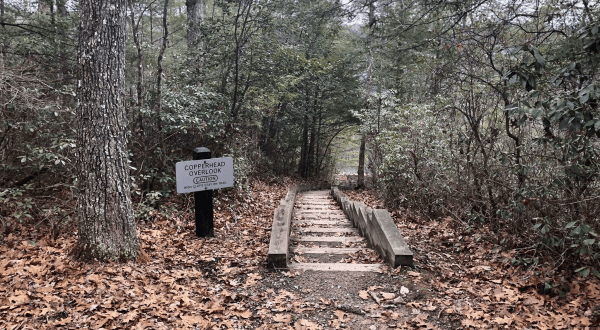 Hike This Stairway To Nowhere In West Virginia For A Magical Woodland Adventure