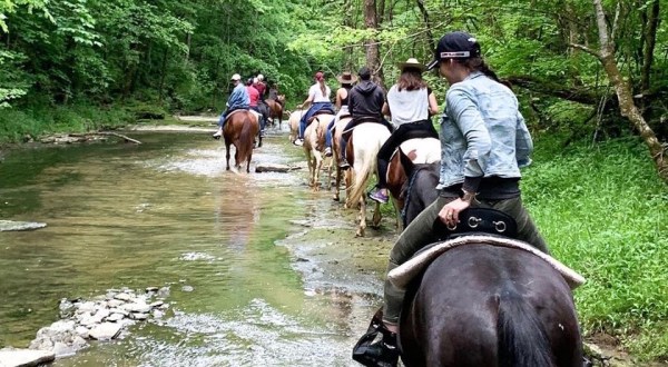 Cross Horseback Riding Off Your Bucket List With A Trail Ride At Deer Run Stable In Kentucky