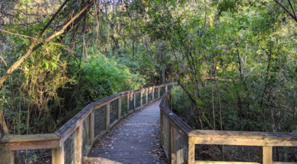 You Can Stroll Through The Swamps At The Bluebonnet Swamp Nature Center In Louisiana