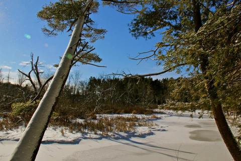 Experience Astonishing Winter Beauty At The White Memorial Conservation Center, A 4,000-Acre Nature Preserve In Connecticut