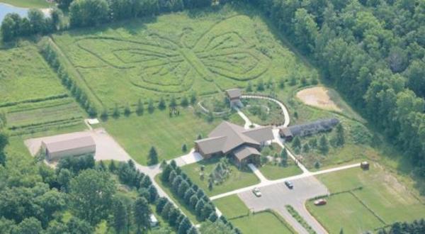 Butterfly Gardens Of Wisconsin Is Home To The State’s Largest Butterfly House And Maze 