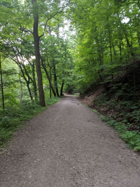 Hike This Stairway To Nowhere Near Pittsburgh For A Magical Woodland Adventure