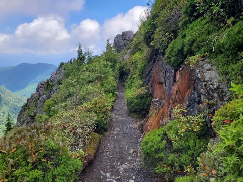 7 Trails In North Carolina's Great Smoky Mountains That Belong On Your Hiking Bucket List