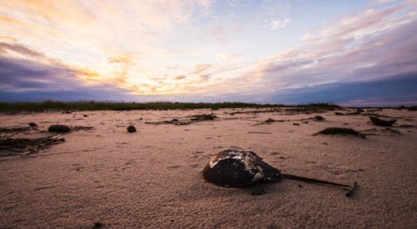 The Naming Of Slaughter Beach Is One Strange Delaware Tale You Won’t Find In The History Books