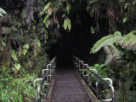 Hawaii Volcanoes National Park’s Thurston Lava Tube Is Fascinating And We Can't Wait To Visit