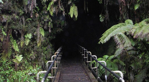 Hawaii Volcanoes National Park’s Thurston Lava Tube Is Fascinating And We Can’t Wait To Visit