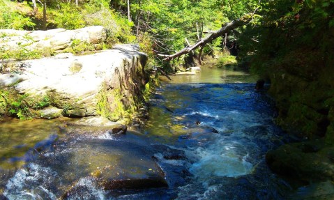 The 7 Best Trails To Hike In The Sipsey Wilderness, One Of Alabama's Top Hiking Destinations