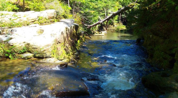 The 7 Best Trails To Hike In The Sipsey Wilderness, One Of Alabama’s Top Hiking Destinations