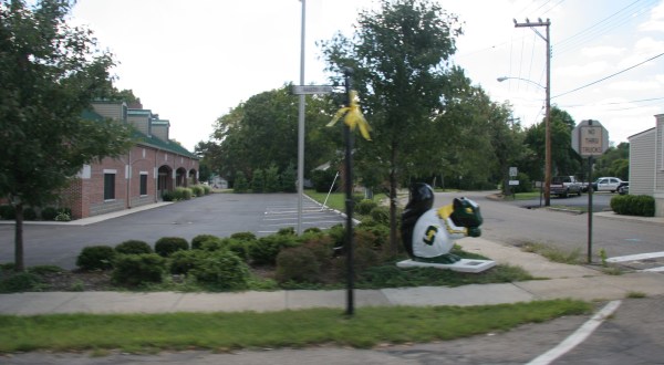 Since The 1940s, The Village Of Glendale Has Been Known As Ohio’s Black Squirrel Town