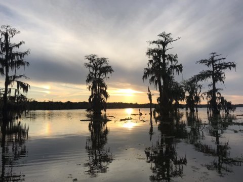 You May Never Want To Leave The Serenity Of Lake Martin In Louisiana