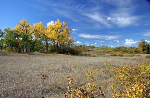 Explore 58,700 Acres At The Largest Wildlife Refuge In North Dakota, The J. Clark Salyer NWR